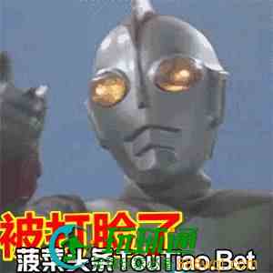 动图封面