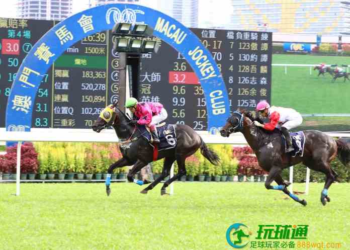 疑未履行續牌承諾 據報澳門政府禁馬會進口馬匹接受海外投注
