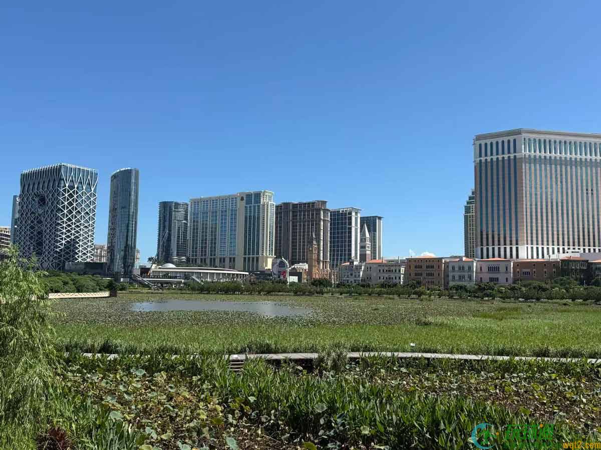 澳门BC业可疑交易申报2026 年第三季回落